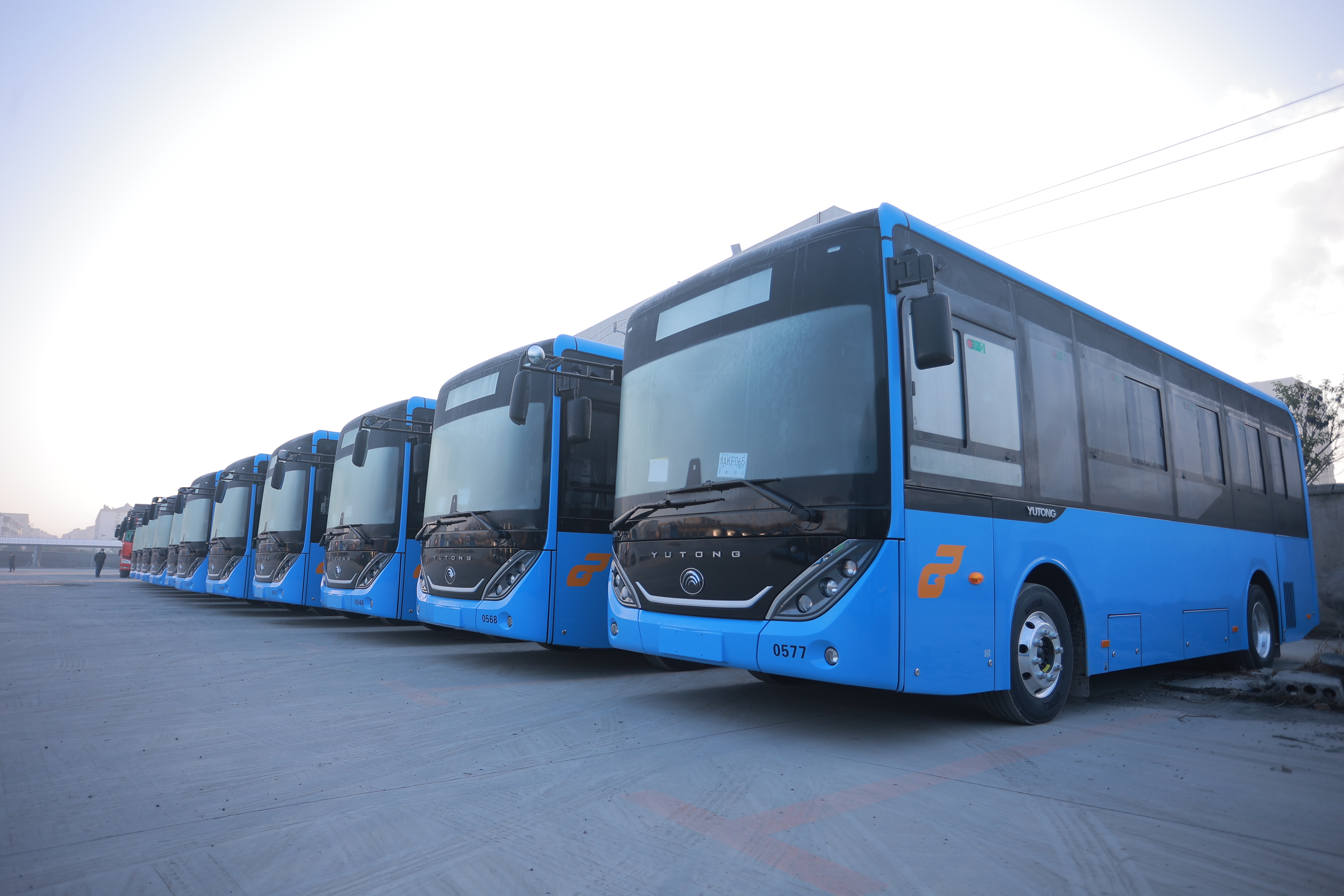 惠民再“上新”！公交集團購置482臺純電動公交車