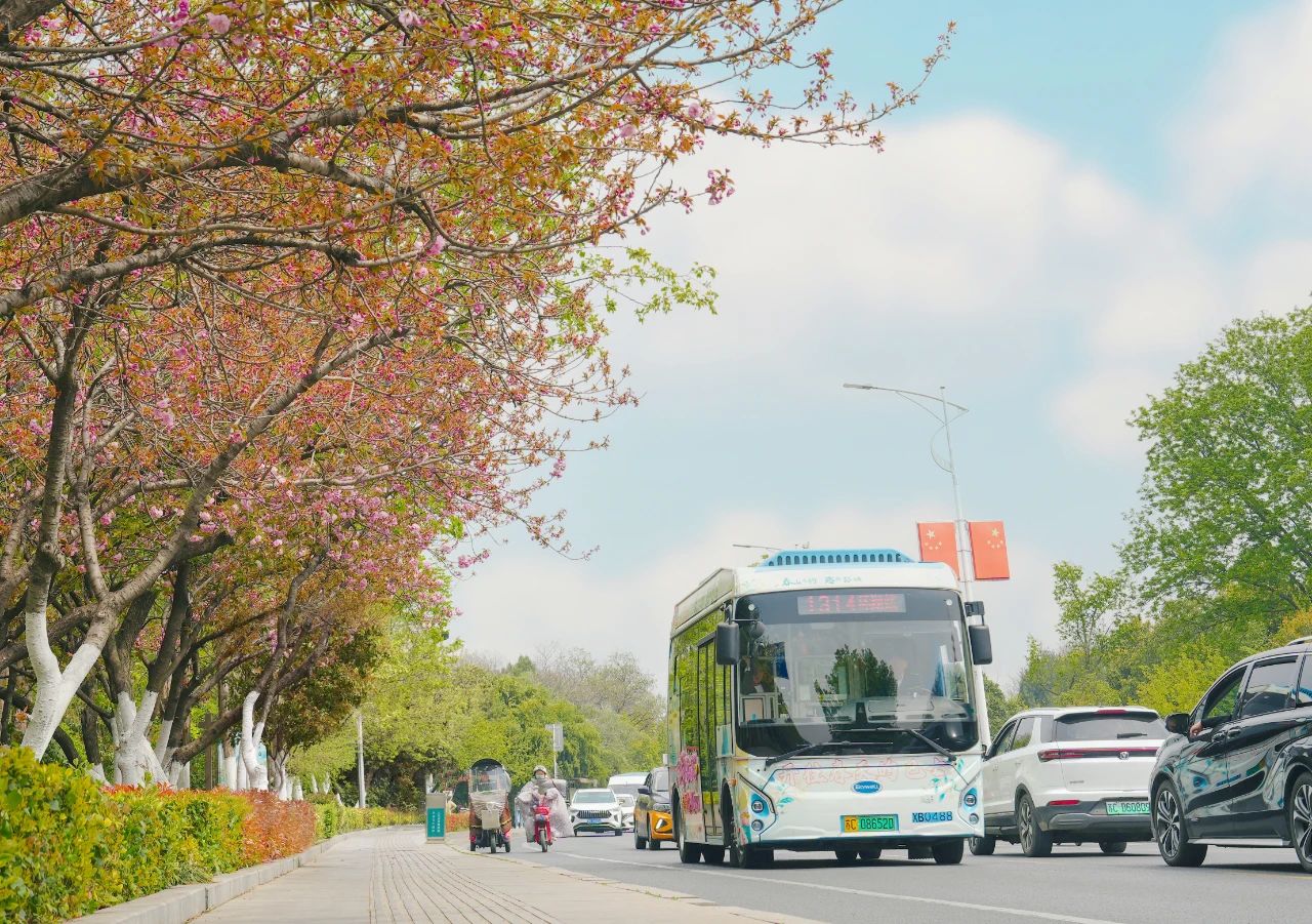 清明踏春行，徐州公交精心護(hù)航市民出行